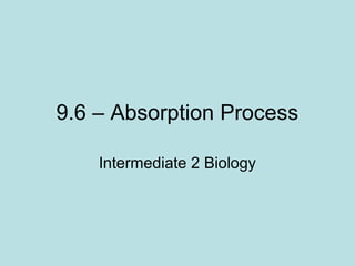 9.6 – Absorption Process
Intermediate 2 Biology
 