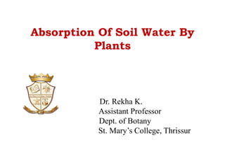 Absorption Of Soil Water By
Plants
Dr. Rekha K.
Assistant Professor
Dept. of Botany
St. Mary’s College, Thrissur
 