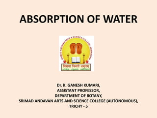 ABSORPTION OF WATER
Dr. K. GANESH KUMARI,
ASSISTANT PROFESSOR,
DEPARTMENT OF BOTANY,
SRIMAD ANDAVAN ARTS AND SCIENCE COLLEGE (AUTONOMOUS),
TRICHY - 5
 