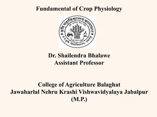 Fundamental of Crop Physiology
Dr. Shailendra Bhalawe
Assistant Professor
College of Agriculture Balaghat
Jawaharlal Nehru Krashi Vishwavidyalaya Jabalpur
(M.P.)
 