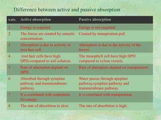 Difference between active and passive absorption
s.no. Active absorption Passive absorption
1 Energy is required. Energy is not required.
2 The forces are created by osmotic
concentration.
Created by transpiration pull
3 Absorption is due to activity of
root hair cell.
Absorption is due to the activity of the
leaves.
4 root hair cells have high
DPD,compared to soil solution.
The mesophyll cell have high DPD
compared to xylem vessels.
5 Rate of absorption depend on
DPD.
Rate of absorption depend on transpiration.
6 Absorbed through symplast
pathway and transmembrane
pathway.
Water passes through apoplast
pathway,symplast pathway and
transmembrane pathway.
7 It is correlated with respiration
for energy.
It is correlated with transpiration.
8 The rate of absorbtion is slow. The rate of absorbtion is high.
 
