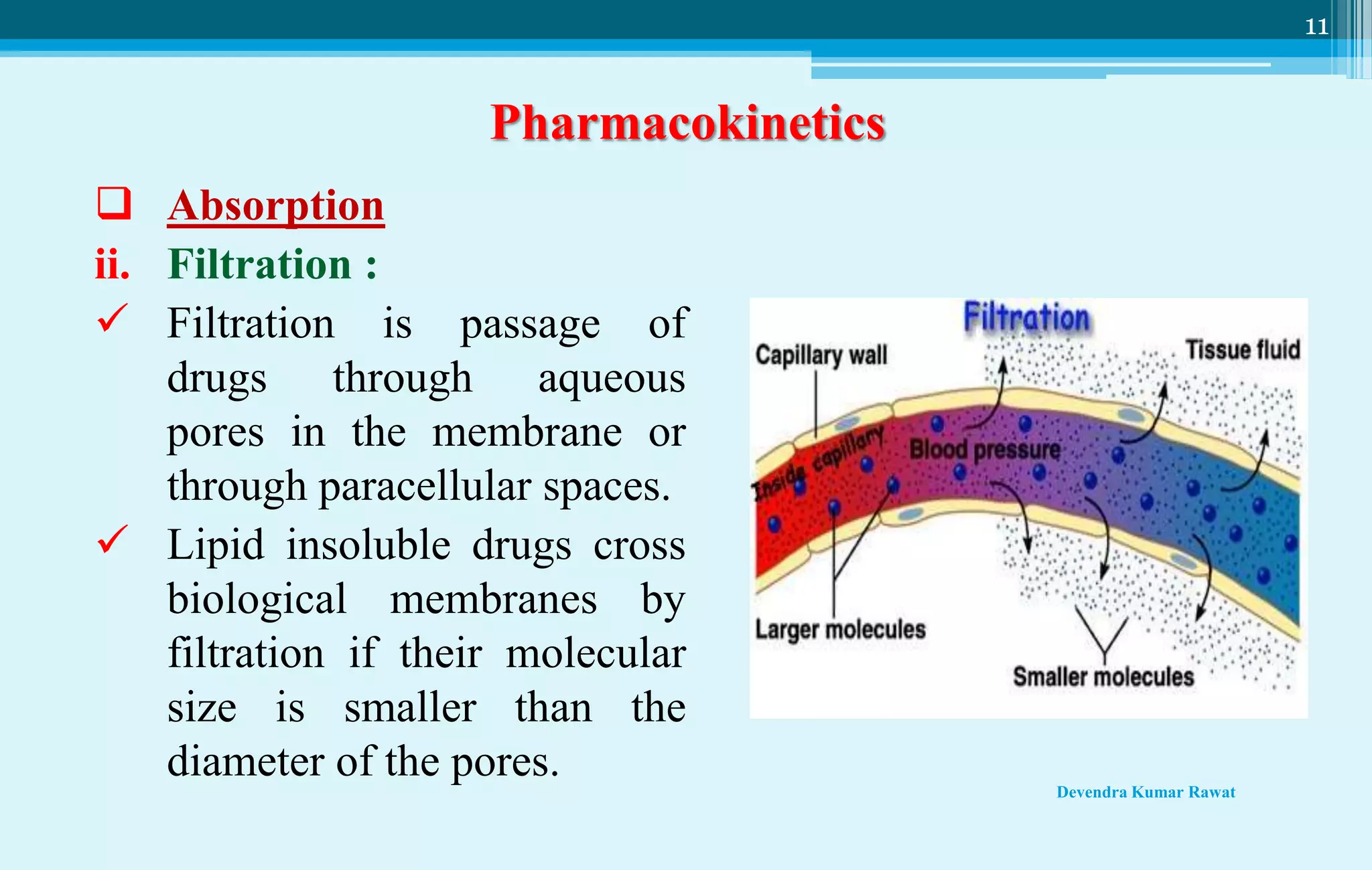 Absorption (pharmacology and toxicology) PPT