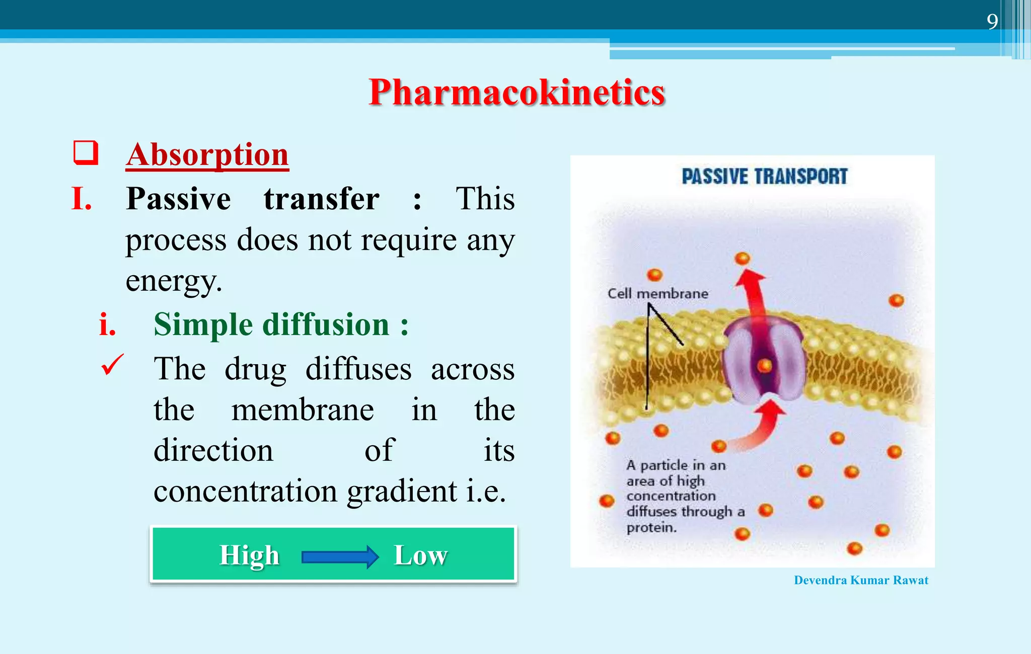 Absorption Pharmacokinetics (pharmacology and toxicology) | PPT
