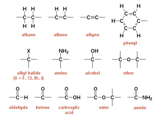 C O Functional Group Transexual Free Pictures c-o-functional-group-transexual-free-pictures