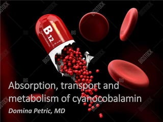 Absorption, transport and
metabolism of cyanocobalamin
Domina Petric, MD
 