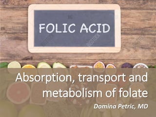 Absorption, transport and
metabolism of folate
Domina Petric, MD
 