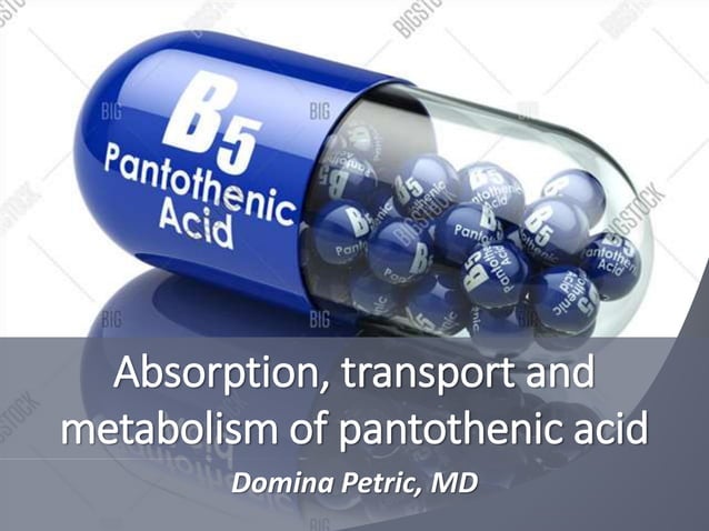 Illustration of Adding Pantothenic Acid To Dogs With Cancerous Polyps