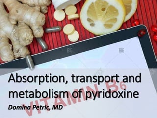Absorption, transport and
metabolism of pyridoxine
Domina Petric, MD
 