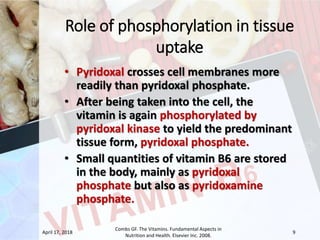 Pyrithioxin Absorption, transport and metabolism of pyridoxine | PPSX