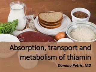 Absorption, transport and
metabolism of thiamin
Domina Petric, MD
 