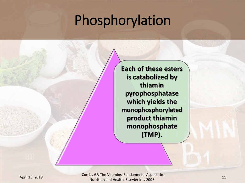Absorption, transport and metabolism of thiamin