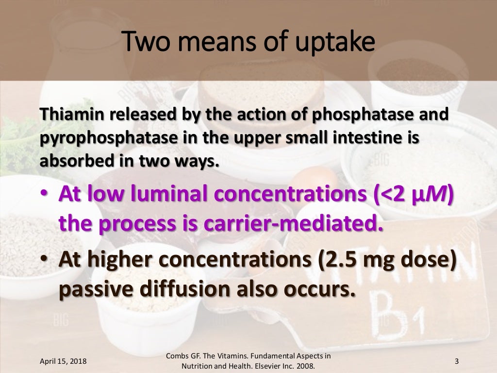 Absorption, transport and metabolism of thiamin