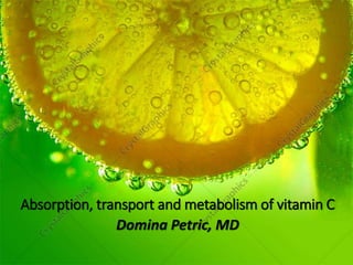 Domina Petric, MD
Absorption, transport and metabolism of vitamin C
 