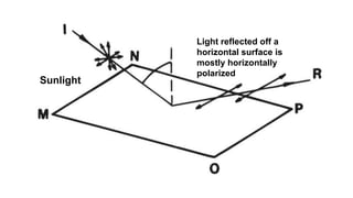 Sunlight
Light reflected off a
horizontal surface is
mostly horizontally
polarized
 