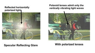 Specular Reflecting Glare With polarized lenses
Polaroid lenses admit only the
vertically vibrating light wavesReflected horizontally
polarized light
 