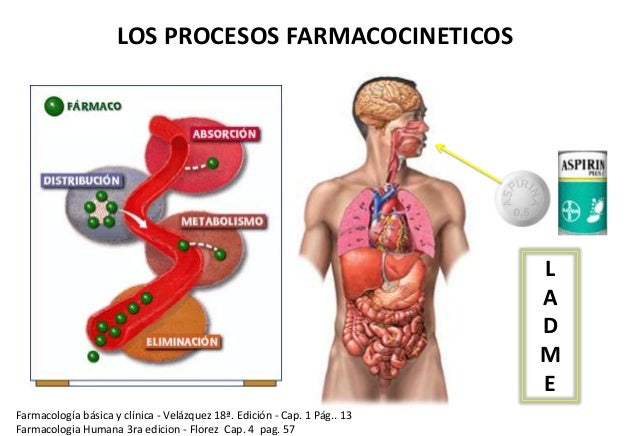 FARMACOCINETICA: ABSORCIÓN Y DISTRIBUCIÓN