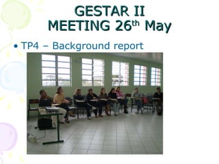 GESTAR II MEETING 26 th  May TP4 – Background report 
