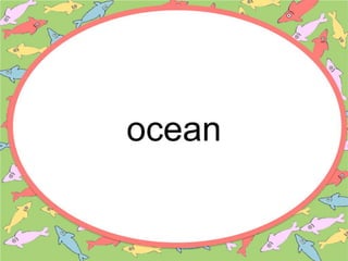 ocean
 