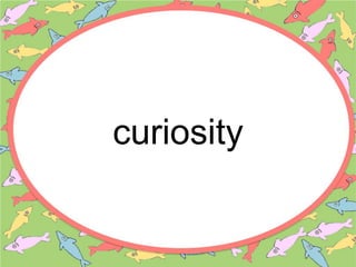 curiosity
 