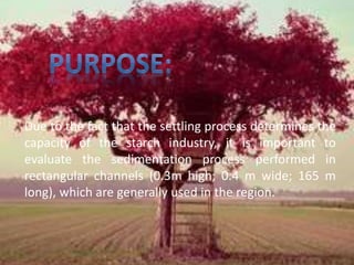 Due to the fact that the settling process determines the 
capacity of the starch industry, it is important to 
evaluate the sedimentation process performed in 
rectangular channels (0.3m high; 0.4 m wide; 165 m 
long), which are generally used in the region. 
 