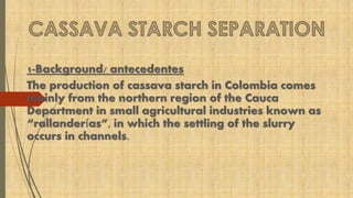 1-Background/ antecedentes 
The production of cassava starch in Colombia comes 
mainly from the northern region of the Cauca 
Department in small agricultural industries known as 
“rallanderías”, in which the settling of the slurry 
occurs in channels. 
 