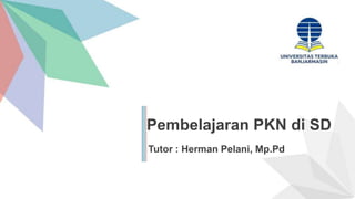 Pembelajaran PKN di SD
Tutor : Herman Pelani, Mp.Pd
 