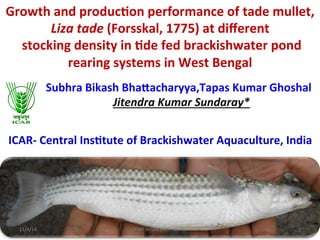Growth	
  and	
  produc.on	
  performance	
  of	
  tade	
  mullet,	
  
Liza	
  tade	
  (Forsskal,	
  1775)	
  at	
  diﬀerent	
  
	
  stocking	
  density	
  in	
  .de	
  fed	
  brackishwater	
  pond	
  
rearing	
  systems	
  in	
  West	
  Bengal	
  
ICAR-­‐	
  Central	
  Ins.tute	
  of	
  Brackishwater	
  Aquaculture,	
  India	
  
11/4/14	
   CPWF	
  WORKSHOP-­‐DHAKA	
   1	
  
Subhra	
  Bikash	
  BhaJacharyya,Tapas	
  Kumar	
  Ghoshal	
  
Jitendra	
  Kumar	
  Sundaray*	
  
 