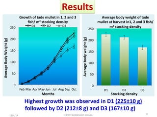 Growth and production performance of tade mullet, Liza tade (Forsskal, 1775) at different stocking density in tide fed brackishwater pond rearing systems in West Bengal