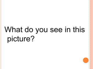 What do all the circles remind you of? Find the large red circle. What does that look like to you?