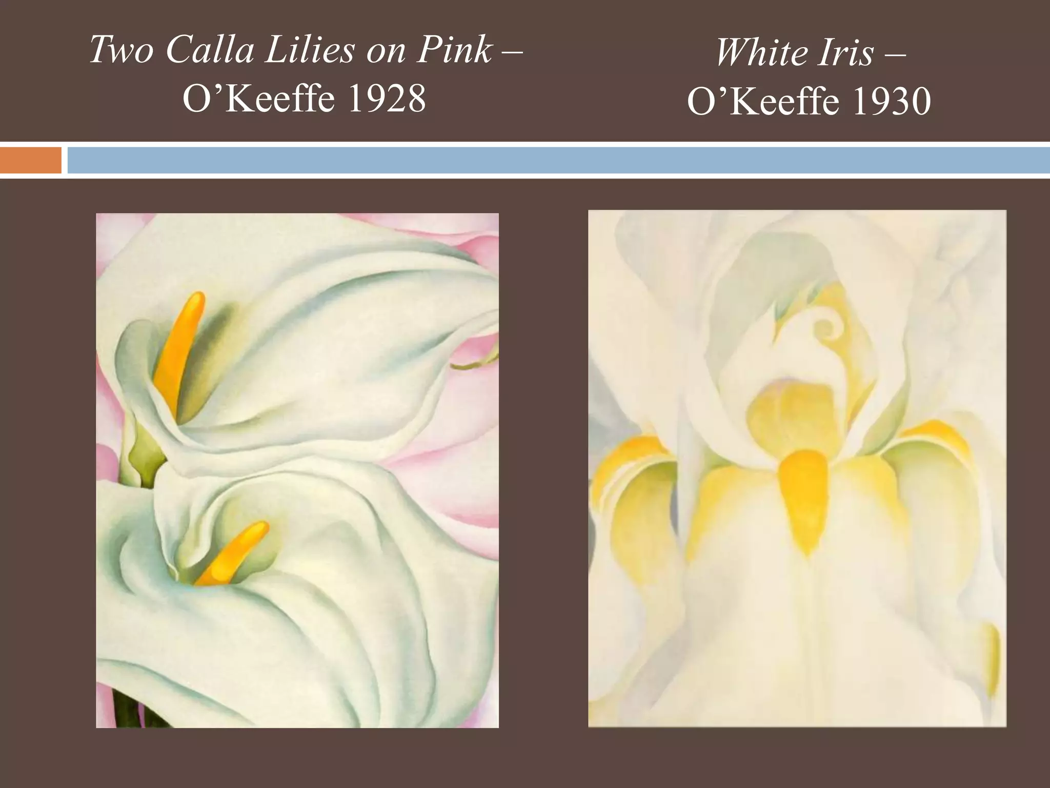 Two Calla Lilies on Pink – O’Keeffe 1928White Iris – O’Keeffe 1930