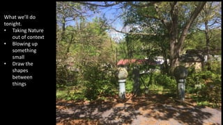 What we’ll do
tonight.
• Taking Nature
out of context
• Blowing up
something
small
• Draw the
shapes
between
things
 