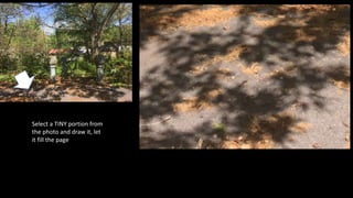 Select a TINY portion from
the photo and draw it, let
it fill the page
 