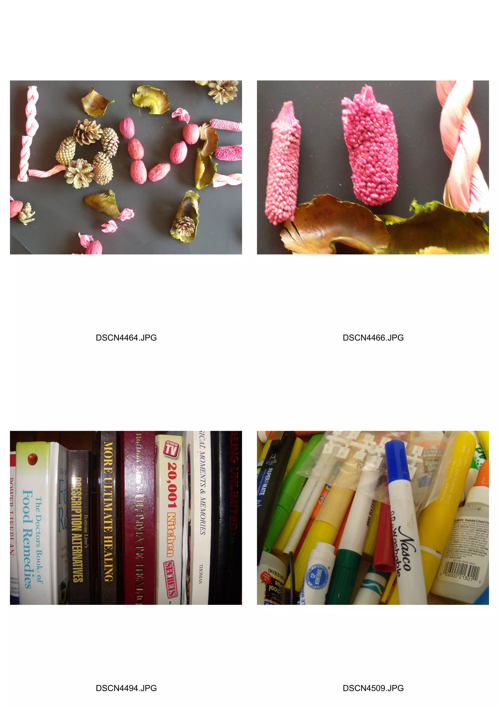 DSCN4464.JPG DSCN4466.JPG
DSCN4494.JPG DSCN4509.JPG