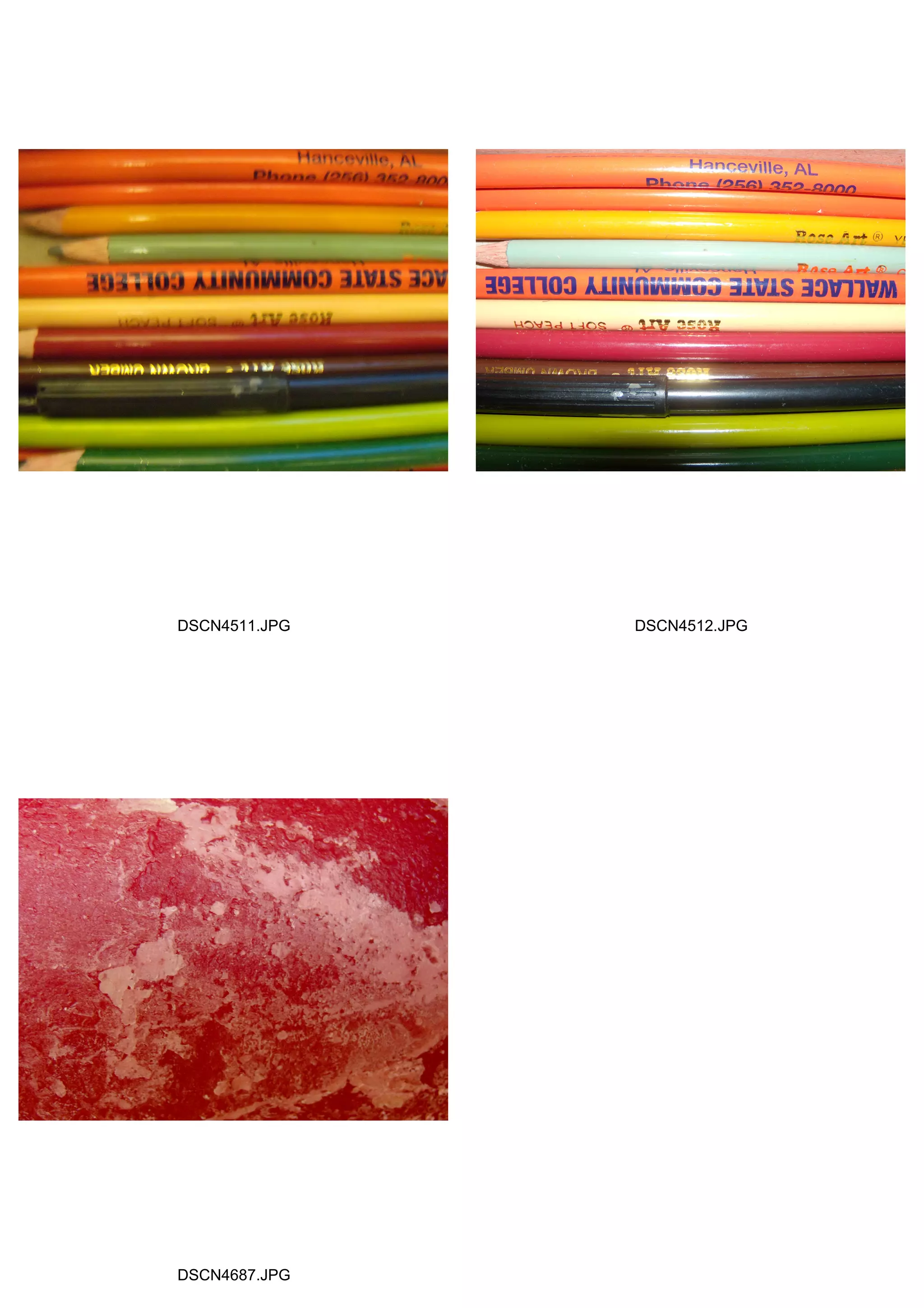 DSCN4511.JPG DSCN4512.JPG
DSCN4687.JPG