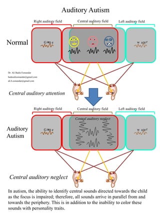 New aspects in Autism : default theories and etiology | PDF