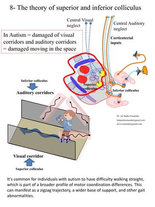 New aspects in Autism : default theories and etiology | PDF