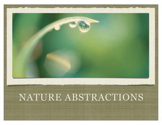 NATURE ABSTRACTIONS
 