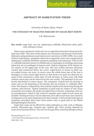 ABSTRACT OF HABILITATION THESIS
University of Opole, Opole, Poland
THE ETIOLOGY OF SELECTED DISEASES OF SUGAR BEET ROOTS
E.B. Moliszewska
Key words: sugar beet, root rot, Aphanomyces cochlioides, Rhizoctonia solani, girth-
-scab, Rhizopus arrhizus
Some severe symptoms of the root rot on sugar beets have been observed in Po-
land since 2001. The cause of the disease was not known and because of this field,
laboratory and greenhouse experiments were carried out in 2003–2006. As a result
of these experiments, symptoms observed on sugar beet roots were categorized as
Aphanomyces cochlioides Drechsler symptoms and girth-scab symptoms. Prior to this
A. cochlioides had been known in Poland only as a pathogen of seedlings and young
plants but not as a pathogen of mature roots. Typical symptoms of the disease oc-
cur mainly on the upper part of the root. The root surface becomes distorted,
cracked and constricted below the crown. Light-brown or brown to black wa-
ter-soaked lesions can occur. In severe cases the whole lower part of the root is
damaged; on some tissues light brown to dark brown rot spots are observed, in-
stead of this sometimes a thick layer of cork develops; in some cases only folds
without rotten parts can be observed on the root surface. The pathogen is not uni-
formly distributed in rotten tissues. The symptoms of girth-scab can develop in
many cases at the beginning of the disease and can promote A. cochlioides infec-
tions. The disease is enhanced by rainy and hot weather and can develop during the
summer until harvest. Typical symptoms of girth-scab are stripes of cork tissue
around the root surface: the stripes are light brown to brown, sometimes with cal-
lus protuberances. Small to big, round or irregular spots made of cork tissue are
possible. Rotting of tissues was not observed, even when such roots were stored in
a refrigerator or at room temperature for three months. Until recently both types of
symptoms described above have been known only as girth-scab in the Polish
phytopathological literature.
Sugar beet crops can be affected by other pathogens as well, such as Rhizopus
arrhizus, Rhizoctonia spp., Fusarium spp., Pythium spp. Their severity depends on
some environmental factors. The root rot of sugar beets caused by Rhizopus arrhizus
Phytopathologia 55: 73–74
© The Polish Phytopathological Society, Poznań 2010
ISSN 2081-1756
 