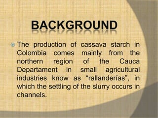  The production of cassava starch in 
Colombia comes mainly from the 
northern region of the Cauca 
Departament in small agricultural 
industries know as “rallanderías”, in 
which the settling of the slurry occurs in 
channels. 
 
