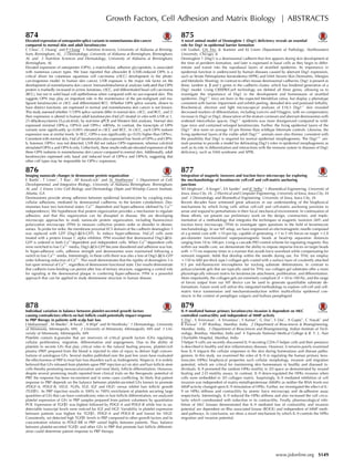 874
Elevated expression of osteopontin splice variants in nonmelanoma skin cancer
compared to normal skin and adult keratinocytes
C Chou1
, C Huang2
and P Chang3
1 Nutrition Sciences, University of Alabama at Birming-
ham, Birmingham, AL, 2 Dermatology, University of Alabama at Birmingham, Birmingham,
AL and 3 Nutrition Sciences and Dermatology, University of Alabama at Birmingham,
Birmingham, AL
Elevated expression of osteopontin (OPN), a matricellular, adhesive glycoprotein, is associated
with numerous cancer types. We have reported that ultraviolet B (UVB)-induced OPN is a
critical driver for cutaneous squamous cell carcinoma (cSCC) development in the photo-
carcinogenesis model. In human skin cancer, UVB exposure is the major risk factor on the
development of nonmelanoma skin cancer. Immunohistochemical analyses indicated that OPN
protein is markedly increased in actinic keratoses, cSCC, and differentiated basal cell carcinoma
(BCC), but not in solid basal cell epitheliomas when compared with no sun-exposed skin. This
suggests OPN may play an important role in the maintenance of the pre-malignant and ma-
lignant keratinocytes in cSCC and differentiated BCC. Whether OPN splice variants, shown to
have distinct functions, are expressed in normal and nonmelanoma skin cancer is not known.
This study assessed whether 1) OPN splice variants differ in normal skin, cSCC, and BCC, and 2)
their expression is altered in human adult keratinocytes (HaCaT) treated in vitro with UVB or 1,
25-dihydroxyvitamin D3(calcitriol), by real-time qPCR and Western blot analyses. Normal skin
expressed minimal OPN-a, OPN-b and OPN-c mRNAs. In contrast, the transcripts of OPN
variants were signiﬁcantly (p<0.001) elevated in cSCC and BCC. In cSCC, each OPN isoform
expression was at similar levels. In BCC, OPN-a was signiﬁcantly (p<0.05) higher than OPN-c.
Consistent with normal skin, HaCaT keratinocytes also expressed low levels of OPN-a and OPN-
b, however, OPN-c was not detected. UVB did not induce OPN expression, whereas calcitriol
stimulated OPN-a and OPN-b only. Collectively, these results indicate elevated expression of the
three OPN isoforms in nonmelanoma skin cancer compared to normal skin. Additionally, adult
keratinocytes expressed only basal and induced level of OPN-a and OPN-b, suggesting that
other cell types may be responsible for OPN-c expression.
875
A novel animal model of Desmoglein 1 (Dsg1) deﬁciency reveals an essential
role for Dsg1 in epidermal barrier formation
LM Godsel, GN Fitz, JL Koetsier and KJ Green Department of Pathology, Northwestern
University, Chicago, IL
Desmoglein 1 (Dsg1) is a desmosomal cadherin that ﬁrst appears during skin development at
the time of periderm formation, and later is expressed in basal cells as they begin to differ-
entiate and transit into the suprabasal layers of stratiﬁed epidermis. Its importance in
epidermal function is underscored by human diseases caused by aberrant Dsg1 expression,
such as Striate Palmoplantar Keratoderma (SPPK) and SAM (Severe Skin Dermatitis, Allergies
and Metabolic Wasting). In contrast to other mouse desmosomal cadherins, Dsg1 is present as
three, tandem a, b and g genes in the cadherin cluster, which has hindered generation of a
Dsg1 model. Using CRISPR/Cas9 technology we deleted all three genes, allowing us to
investigate the importance of Dsg1 in the development and homeostasis of stratiﬁed
epidermis. Dsg1-/-
mice are born in the expected Mendelian ratios, but display a phenotype
consistent with barrier impairment and exhibit peeling, denuded skin and postnatal lethality.
Biochemical, electron and light microscopical analyses of E18.5 Dsg1-/-
skin revealed
decreased markers of differentiation, including Loricrin and Filaggrin, with no compensatory
increase in Dsg2 or Dsg3, dissociation of the stratum corneum and aberrant desmosomes with
widened intercellular spaces. Dsg1-/-
epidermis was more disorganized compared to wild-
type mice and contained enlarged keratinocytes. Further, the living epidermal layers of the
Dsg1-/-
skin were on average 10 mm thinner than wildtype littermate controls. Likewise, the
living epidermal layers of the viable adult Dsg1+/-
animals were also thinner, consistent with
the possibility that Dsg1 is required for normal epidermal morphogenesis. The Dsg1+/-
ani-
mals promise to provide a model for delineating Dsg1’s roles in epidermal morphogenesis as
well as its role in differentiation and interactions with the immune system in diseases of Dsg1
deﬁciency, such as SAM syndrome and SPPK.
876
Imaging nanoscale changes in desmosome protein organization
E Bartle1
, T Urner1
, T Rao1
, AP Kowalczyk2
and AL Mattheyses1
1 Department of Cell,
Developmental, and Integrative Biology, University of Alabama Birmingham, Birmingham,
AL and 2 Emory Univ Cell Biology and Dermatology Depts and Winship Cancer Institute,
Atlanta, GA
Desmosomes provide strong adhesion between epidermal keratinocytes by coupling extra-
cellular adhesions, mediated by desmosomal cadherins, to the keratin cytoskeleton. Des-
mosomes have two functional states: Ca2þ
dependent and hyper-adhesive (deﬁned by Ca2þ
independence). We hypothesize that protein organization provides a mechanism to regulate
adhesion, and that this organization can be disrupted in disease. We are developing
microscopy approaches to study nanoscale protein organization, including ﬂuorescence
polarization microscopy (FPM) to measure collective protein order or disorder in desmo-
somes. To probe for order, the membrane proximal EC5 domain of the cadherin desmoglein 3
was replaced with GFP (Dsg3-DEA-GFP). To induce hyper-adhesion, HaCaT cells were
treated with a protein kinase C alpha inhibitor. FPM revealed that desmosomal Dsg3-DEA-
GFP is ordered in both Ca2þ
dependent and independent cells. When Ca2þ
dependent cells
were switched to low Ca2þ
media, Dsg3-DEA-GFP became disordered and adhesion was lost.
In hyper-adhesive cells, adhesive strength and desmosomes were maintained following a
switch to low Ca2þ
media. Interestingly, in these cells there was also a loss of Dsg3-DEA-GFP
order following reduction of Ca2þ
. This result demonstrates that the rigidity of desmoglein 3 is
lost upon removal of Ca2þ
, regardless of desmosome functional state. Our results demonstrate
that cadherin trans-binding can persist after loss of tertiary structure, suggesting a central role
for signaling at the desmosomal plaque in conferring hyper-adhesion. FPM is a powerful
approach that can be applied to study desmosome structure in human disease.
877
Integration of magnetic tweezers and traction force microscopy for exploring
the mechanobiology of keratinocyte cell-cell and cell-matrix anchoring
junctions
WI Moghram1
, A Kruger2
, EA Sander1
and JC Selby3
1 Biomedical Engineering, University of
Iowa, Iowa City, IA, 2 Electrical and Computer Engineering, University of Iowa, Iowa City, IA
and 3 Dermatology and Biomedical Engineering, University of Iowa, Iowa City, IA
Recent decades have witnessed great advances in our understanding of the biophysical
mechanisms by which living cells utilize cell-cell and cell-matrix anchoring junctions to
sense and respond to perturbations in their local mechanical environment. In continuation of
these efforts, we present our preliminary work on the design, construction, and imple-
mentation of a methodology that integrates the techniques of magnetic tweezers (MT) and
traction force microscopy (TFM) to investigate open questions in the ﬁeld of keratinocyte
mechanobiology. In our MT setup, we have engineered an electromagnetic needle composed
of a m-metal core with w10 mm tip, capable of generating w1 to 5 nN forces on target w2.8
mm-diameter functionalized superparamagnetic beads at bead-tip separation distances
ranging from 10 to 100 mm. Using a cascade PID control scheme for regulating magnetic ﬂux
within our needle core, we demonstrate the ability to impose stepwise forces on target beads
with w75 ms response times in a manner that avoids force overshoot while compensating for
remnant magnetic ﬁelds that develop within the needle during use. For TFM, we employ
w150 to 600 mm-thick type I collagen gels coated with a surface layer of covalently attached
0.5 mm red-ﬂuorescent microspheres for tracking substrate deformations. In contrast to
polyacrylamide gels that are typically used for TFM, our collagen gel substrates offer a more
physiologically relevant matrix for keratinocyte attachment, proliferation, and differentiation.
More importantly, the collagen gels are extremely compliant (E w30 to 100 Pa), and the range
of forces output from our MT device can be used to generate quantiﬁable substrate de-
formations. Future work will utilize this integrated methodology to explore cell-cell and cell-
matrix force transmission and mechanotransduction within multicellular epidermal con-
structs in the context of pemphigus vulgaris and bullous pemphigoid.
878
Individual variation in balance between platelet-secreted growth factors
causing contradictory effects on hair follicle could potentially impact response
to PRP therapy in patients with scalp hair loss
J Mohammed1
, M Abedin2
, R Farah1
, A Wipf3
and M Hordinsky1
1 Dermatology, University
of Minnesota, Minneapolis, MN, 2 University of Minnesota, Minneapolis, MN and 3 Uni-
versity of Minnesota, Minneapolis, MN
Platelets contain a-granules that are reservoirs of critical growth factors (GFs) regulating
cellular proliferation, migration, differentiation and angiogenesis. Due to the ability of
platelets to secrete GFs that play critical roles in the natural healing process, platelet-rich
plasma (PRP) prepared from the blood is injected to sites of injury to deliver high concen-
trations of autologous GFs. Several studies published over the past few years have evaluated
the effectiveness of PRP to treat hair loss disorders such as Androgenetic Alopecia. It is widely
believed that GFs released from platelets upon PRP injection act on skin and hair follicle stem
cells thereby promoting neovascularization and most likely, follicle differentiation. However,
despite several promising results reported from clinical trials on the therapeutic potential of
PRP, the response has been inconsistent and in some cases conﬂicting. Its likely that patient
response to PRP depends on the balance between platelet-secreted GFs known to promote
(PDGF-A, PDGF-B, VEGF, FGFb, EGF, IGF and HGF) versus inhibit hair follicle growth
(TGFb1). As PRP injection results in 300% to 700% enrichment of platelets secreting large
quantities of GFs that can have contradictory roles in hair follicle differentiation, we analyzed
platelet expression of GFs in PRP samples prepared from patient volunteers by quantitative
PCR. Expression of TGFb1 was highest followed by PDGF-A and PDGF-B while low to un-
detectable transcript levels were noticed for IGF and HGF. Variability in platelet expression
between patients was highest for TGFb1, PDGF-A and PDGF-B and lowest for VEGF.
Consistently, we detected high TGFb1 levels in PRP compared to other growth factors and its
concentration relative to PDGF-BB in PRP varied highly between patients. Thus, balance
between platelet-secreted TGFb1 and other GFs in PRP that promote hair follicle differenti-
ation could determine patient response to PRP therapy.
879
IL-9 mediated human primary keratinocytes invasion is dependent on MLC
controlled contractility and independent of MMP activity
S Das1
, S Srinivasan1
, A Srivastava1
, S Kumar2
, G Das3
, S Das1
, A Gupta4
, C Nayak4
and
R Purwar1
1 IIT Bombay, Mumbai, India, 2 Department of Biosciences & Bioengineering,
Mumbai, India, 3 Department of Biosciences and Bioengineering, Indian Institute of Tech-
nology, Bombay, Mumbai, India and 4 Topiwala National Medical College & B. Y. L. Nair
Charitable Hospital, Mumbai, India
T-helper 9 cells are recently discovered IL-9 secreting CD4+T helper cells and their presence
is described in healthy and skin inﬂammatory diseases. However, it remains poorly examined
how IL-9 impacts the cellular responses in the skin during homeostasis and disease patho-
genesis. In this study, we examined the roles of IL-9 in regulating the human primary kera-
tinocytes (HPKs) biophysical properties such cellular morphology, invasion and migration
potential, which are critical for maintaining skin homeostasis in healthy and diseased in-
dividuals. IL-9 promoted the random HPKs motility in 2D space as demonstrated by wound
healing and 2-D motility assays. In contrast, IL-9 down-regulated the HPKs invasion when
cells were embedded in 3D collagen matrix. Surprisingly, IL-9 mediated inhibition of cell
invasion was independent of matrix-metalloproteinase (MMPs) as neither the RNA levels nor
MMP activity changed upon IL-9 stimulation of HPKs. Further, we investigated the effect of IL-
9 on HPKs stiffness and contractility by atomic force microscopy and de-adhesion assay
respectively. Interestingly, IL-9 reduced the HPKs stiffness and also increased the cell circu-
larity which corroborated with reduction in its contractility. Finally, pharmacological inhi-
bition of MLC kinases demonstrated that IL-9 mediated loss of contractility and invasion
potential are dependent on Rho associated kinase (ROCK) and independent of MMP medi-
ated pathways. In conclusion, we show a novel mechanism by which IL-9 controls the HPKs
migration and invasion potential.
Growth Factors, Cell Adhesion and Matrix Biology | ABSTRACTS
www.jidonline.org S149
 