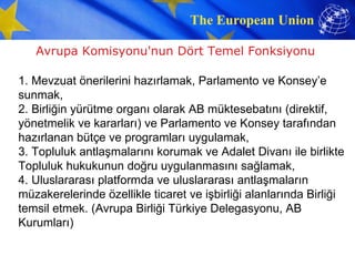 Avrupa Komisyonu'nun Dört Temel Fonksiyonu  1. Mevzuat önerilerini hazırlamak, Parlamento ve Konsey’e sunmak, 2. Birliğin yürütme organı olarak AB müktesebatını (direktif, yönetmelik ve kararları) ve Parlamento ve Konsey tarafından hazırlanan bütçe ve programları uygulamak, 3. Topluluk antlaşmalarını korumak ve Adalet Divanı ile birlikte Topluluk hukukunun doğru uygulanmasını sağlamak, 4. Uluslararası platformda ve uluslararası antlaşmaların müzakerelerinde özellikle ticaret ve işbirliği alanlarında Birliği temsil etmek. (Avrupa Birliği Türkiye Delegasyonu, AB Kurumları) 