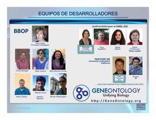 CONSORCIO ONTOLOGÍA DE GENES: herramientas para anotación funcional | PDF