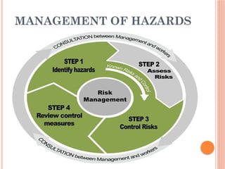 Comprehensive Overview of Food Safety Hazards and Risk Management | PPTX