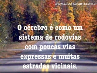 O cérebro é como um
sistema de rodovias
com poucas vias
expressas e muitas
estradas vicinais.
www.taiconsultoria.com.br
 