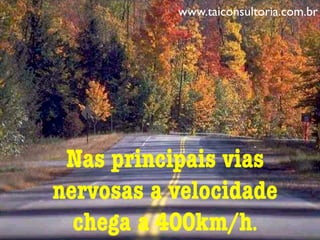 Nas principais vias
nervosas a velocidade
chega a 400km/h.
www.taiconsultoria.com.br
 
