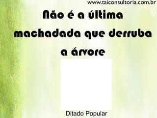 Não é a última
machadada que derruba
a árvore
Ditado Popular
www.taiconsultoria.com.br
 