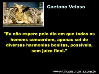"Eu não espero pelo dia em que todos os
homens concordem, apenas sei de
diversas harmonias bonitas, possíveis,
sem juízo final."
Caetano Veloso
www.taiconsultoria.com.br
 