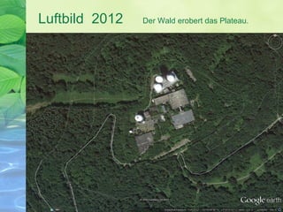 Luftbild 2012 Der Wald erobert das Plateau.
 
