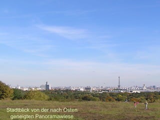 Liegewiese mit Stadtblick nach Osten
Stadtblick von der nach Osten
geneigten Panoramawiese
 