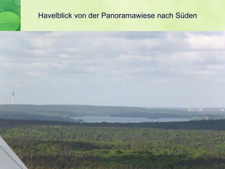 Havelblick von der Panoramawiese nach Süden
 